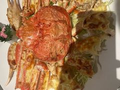 -国惠大酒楼(仓山万达店)