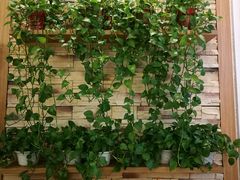 -Mr.Fruits水果先生(英蓝金融中心店)