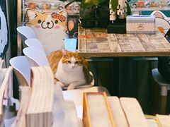 -小时光咖啡馆(北锣鼓巷店)