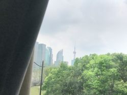 -上海首尔丽格医疗美容医院