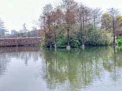 -海珠湖公园