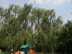 -永定河休闲森林公园