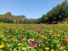 -百里山水画廊