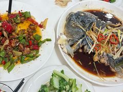 -煲来饱去冷水鱼