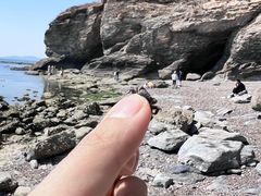 -大连金石滩滨海国家地质公园