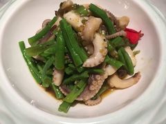 茶树菇炒鱿鱼-雀蓝川菜(奥体广场店)