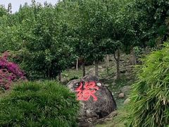 -亚龙湾国际玫瑰谷