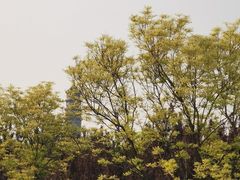 -北坞公园