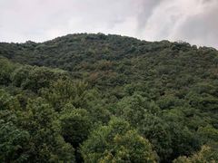 -杭州半山国家森林公园