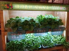 -福苗小骆驼烧烤(莲湖路店)