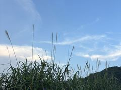 -凤岗南门山森林公园