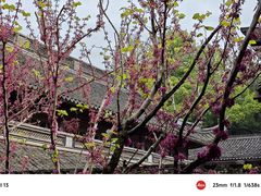 -宁波市保国寺古建筑博物馆