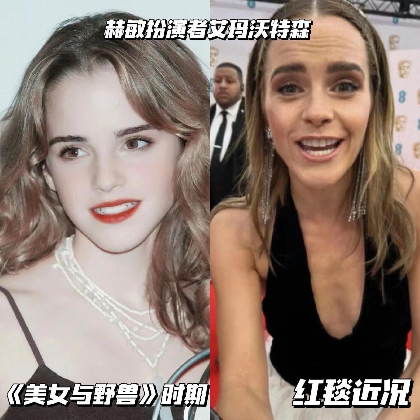 听说哈利波特要重映了👀看看演员现状