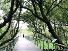 -西湖风景区-江洋畈生态公园
