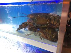 -盒马鲜生(枣园路店)