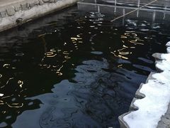 -京北渔家傲