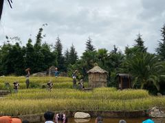 -云南民族村