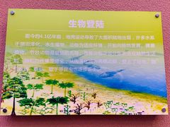 -陕西自然博物馆