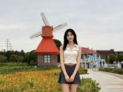 -杭州湾海上花田景区