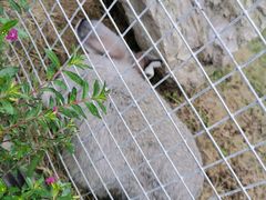 -洪湖家庭农场·团建·露营·会议