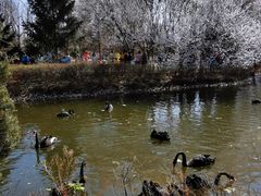 -长白岛森林公园