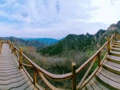 -大岭沟猕猴桃谷风景区