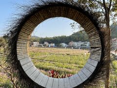 -红山村