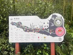 -都江堰中华大熊猫苑