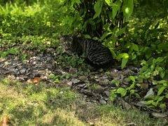 -上海交通大学(闵行校区)