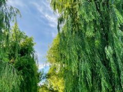 -长春市南湖公园