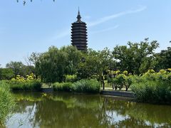 -西海子公园