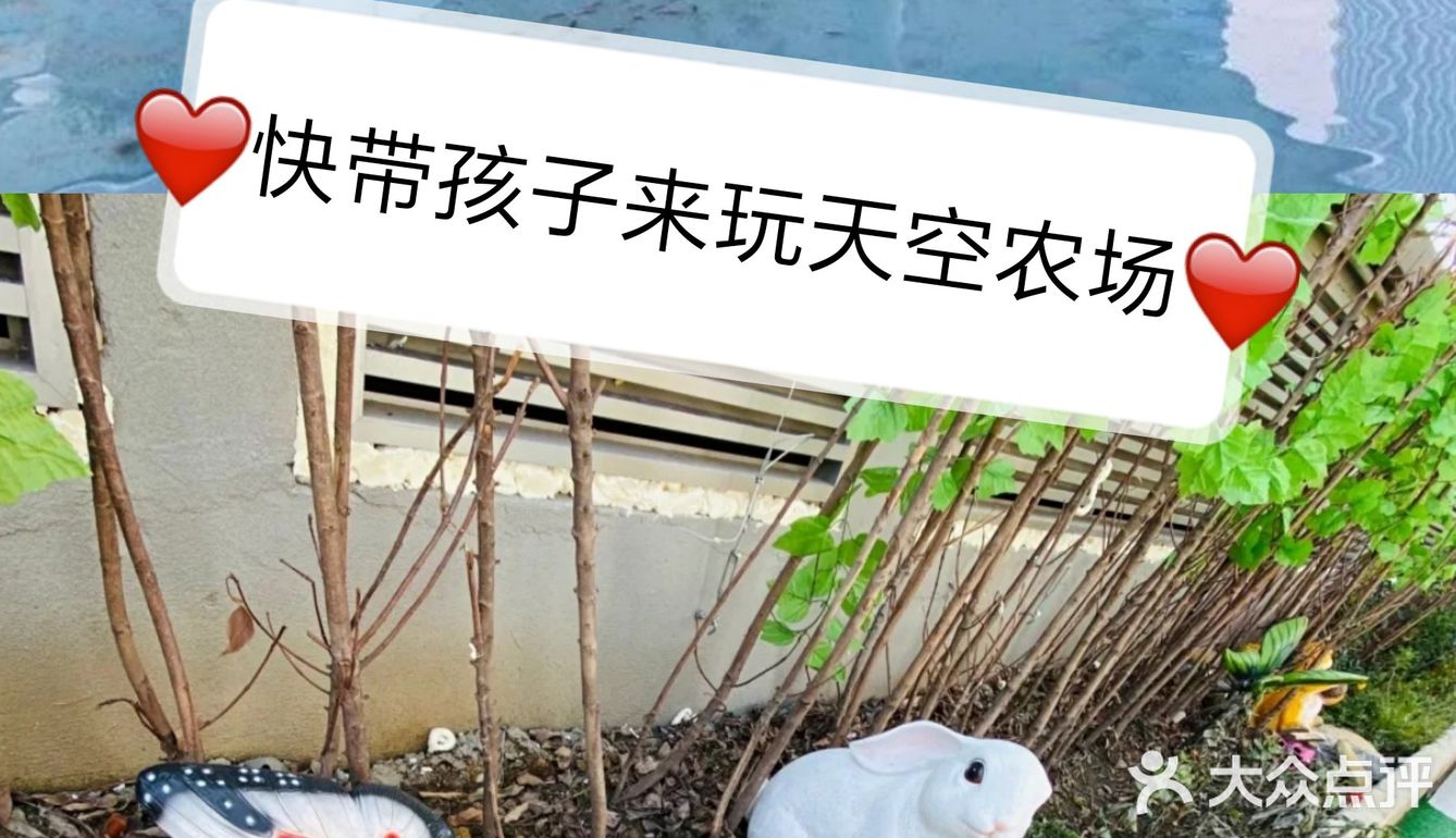 超赞的天空农场⭐，快带宝宝来玩[礼花]