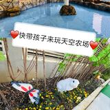 超赞的天空农场⭐，快带宝宝来玩[礼花]