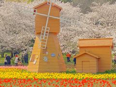 -苏州上方山国家森林公园