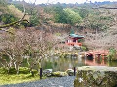 -醍醐寺