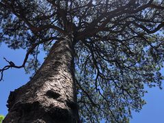 -北京上方山国家森林公园