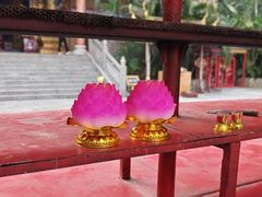 -西双版纳勐泐文化旅游区