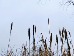 -良渚古城遗址公园