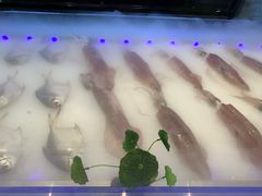 -长嘉·河图火锅(长嘉汇江景旗舰店)