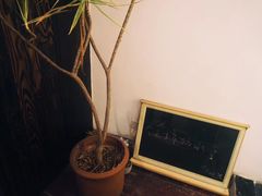 -凡人&庄阿姨的辣(万寿亭店)