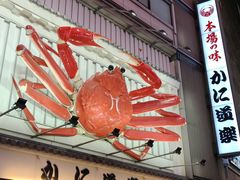 -蟹道乐(道顿堀本店)