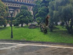 -广州长隆飞鸟乐园