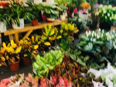 -双季花艺园艺市场(浦东店)