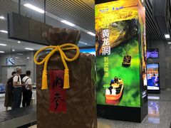 -张家界荷花国际机场