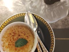 -Hi City·城市之巅