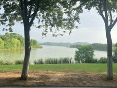 -东湖落雁景区