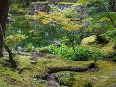 -西芳寺(苔寺)