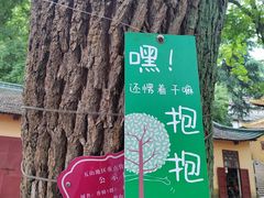 -狼山风景名胜区