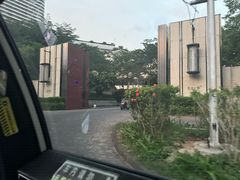 -瑰丽酒店·海吧·天际下午茶·现场DJ·天台酒吧