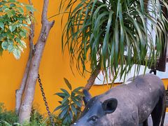 -ALBERGUE 1601 婆仔屋葡国餐厅